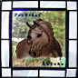 Galeriebild 19